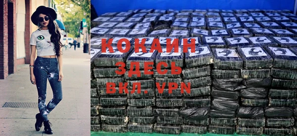мет Няндома