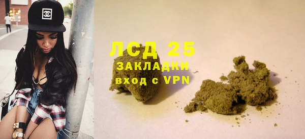 прущие грибы Нягань