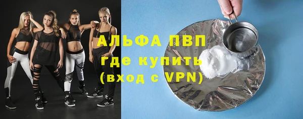прущие грибы Нягань