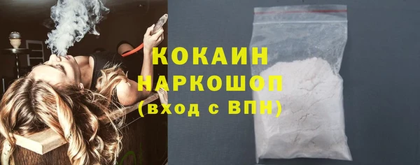 прущие грибы Нягань