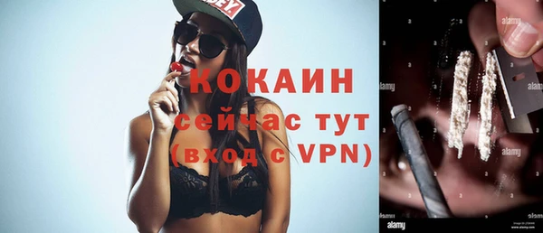 ешки Осинники